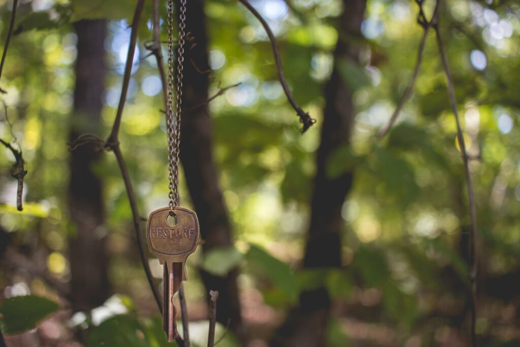 Photo Key, Locksmith